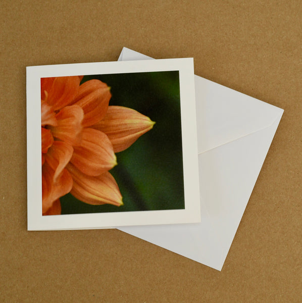 Autumn florals card set