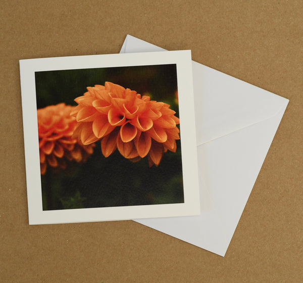 Autumn florals card set