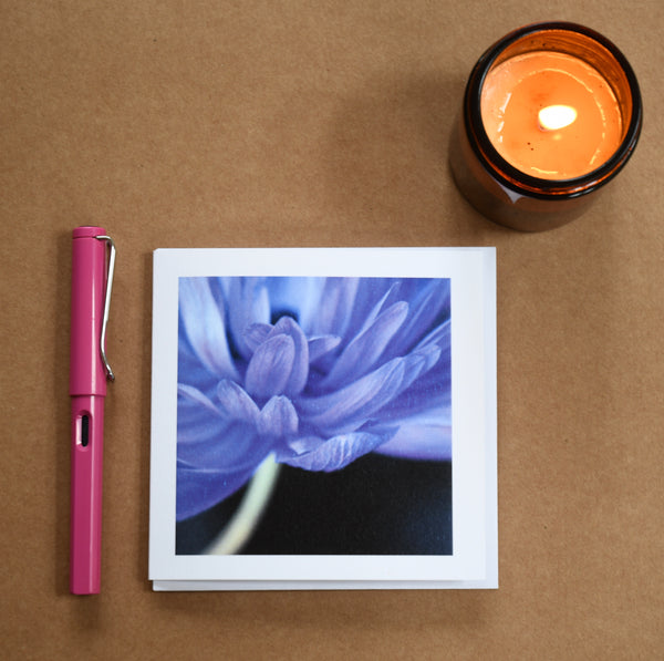 Anenome floral card set