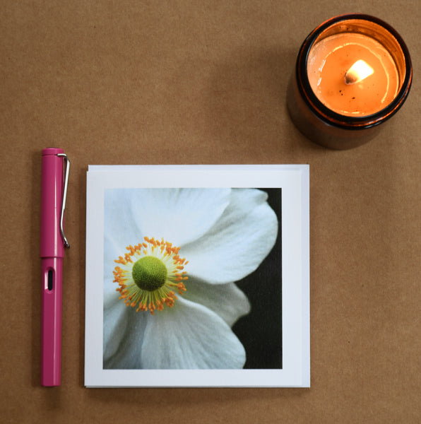 Anenome floral card set