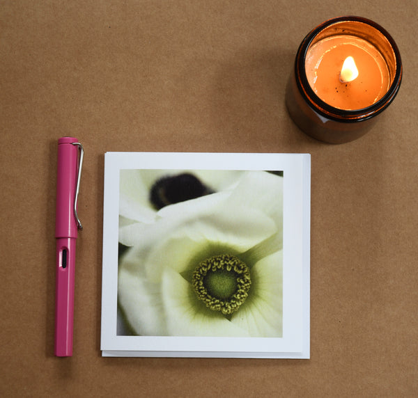 Anenome floral card set