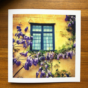 'Wisteria on a window' card