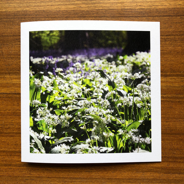 'Wild garlic in the bluebell woods' card