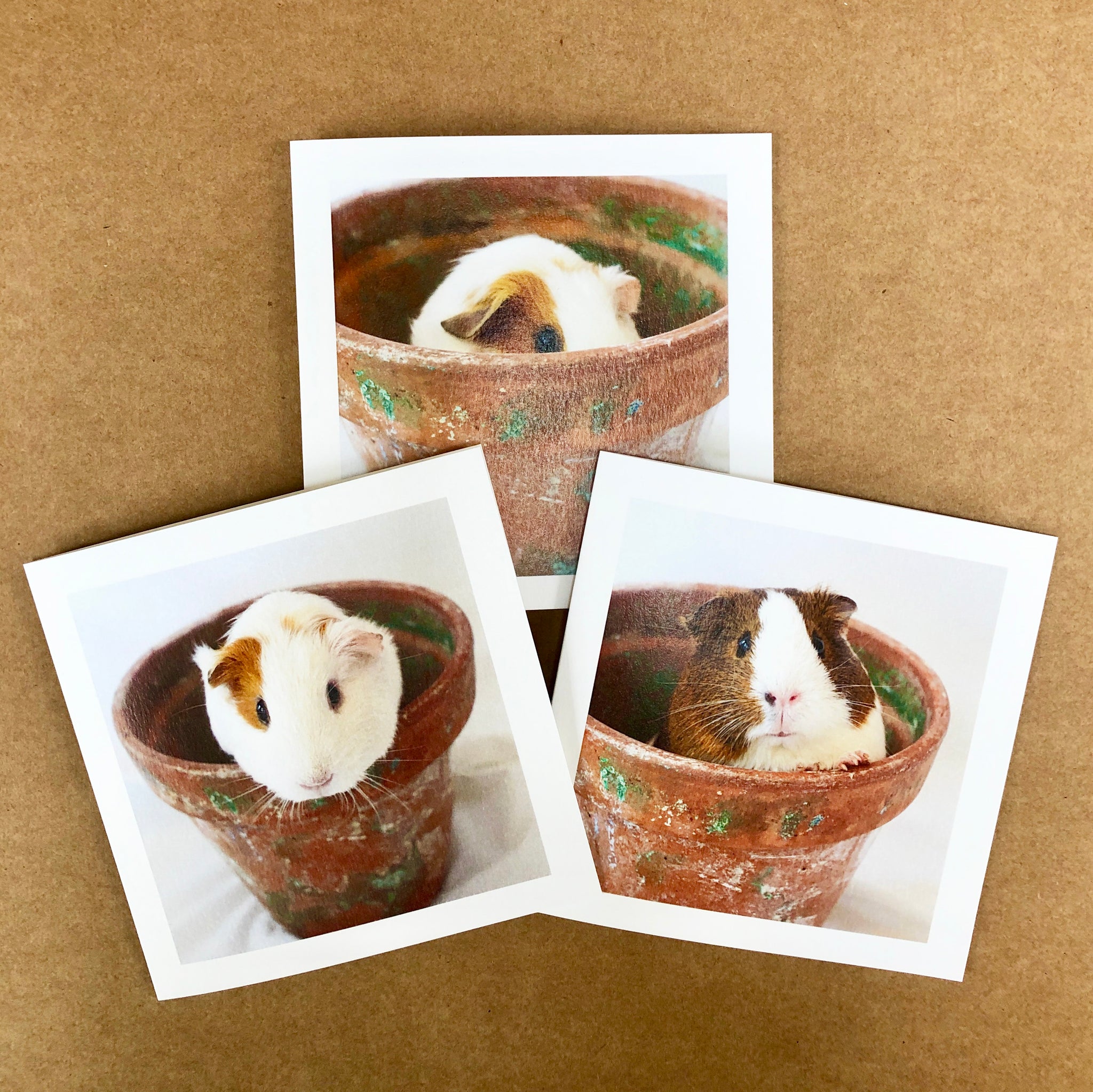 'Pigs in a pot' card set