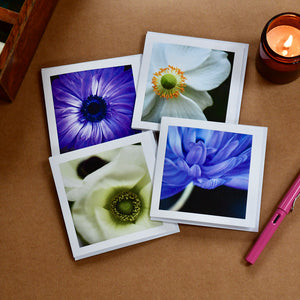 Anenome floral card set