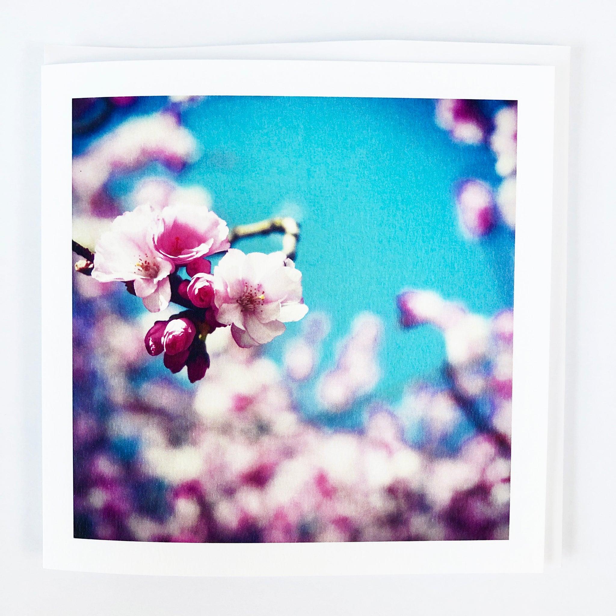 Vintage pink spring blossom