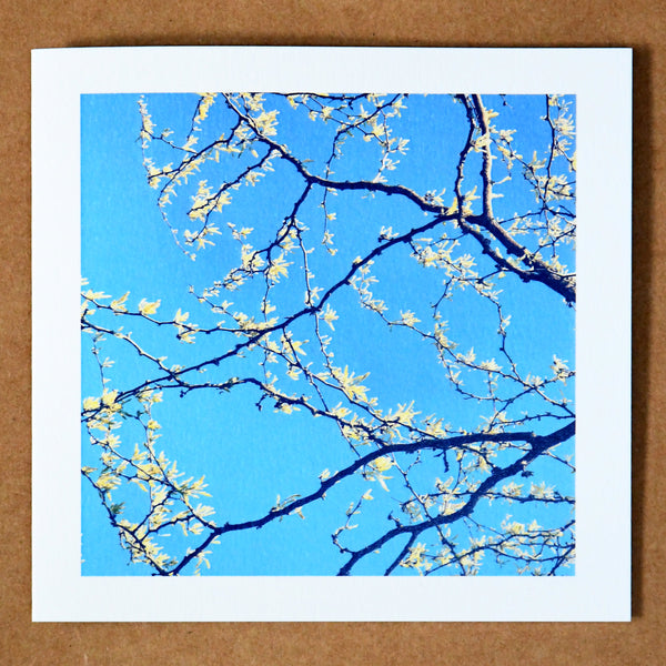 Bright spring tree card