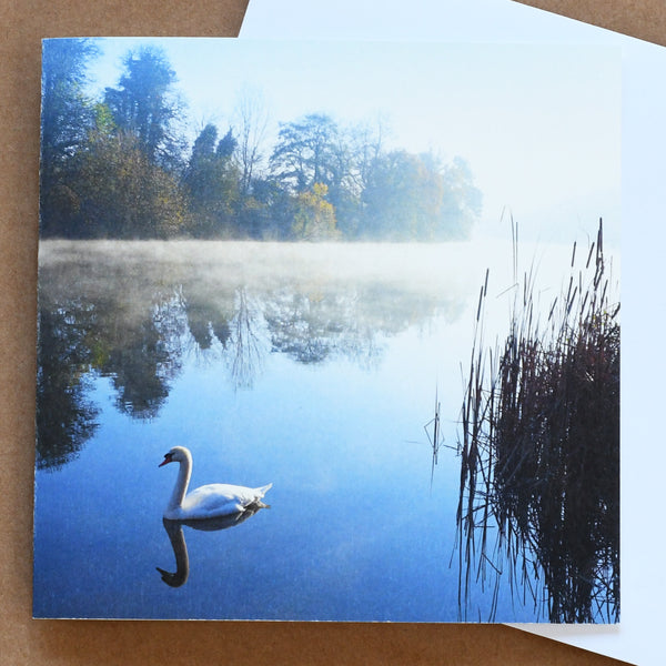 'Early swan' card