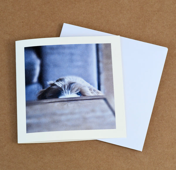 Peekaboo puppy card