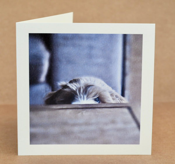 Peekaboo puppy card