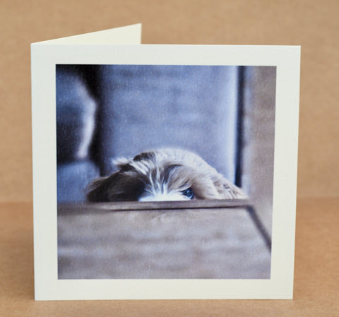 Peekaboo puppy card