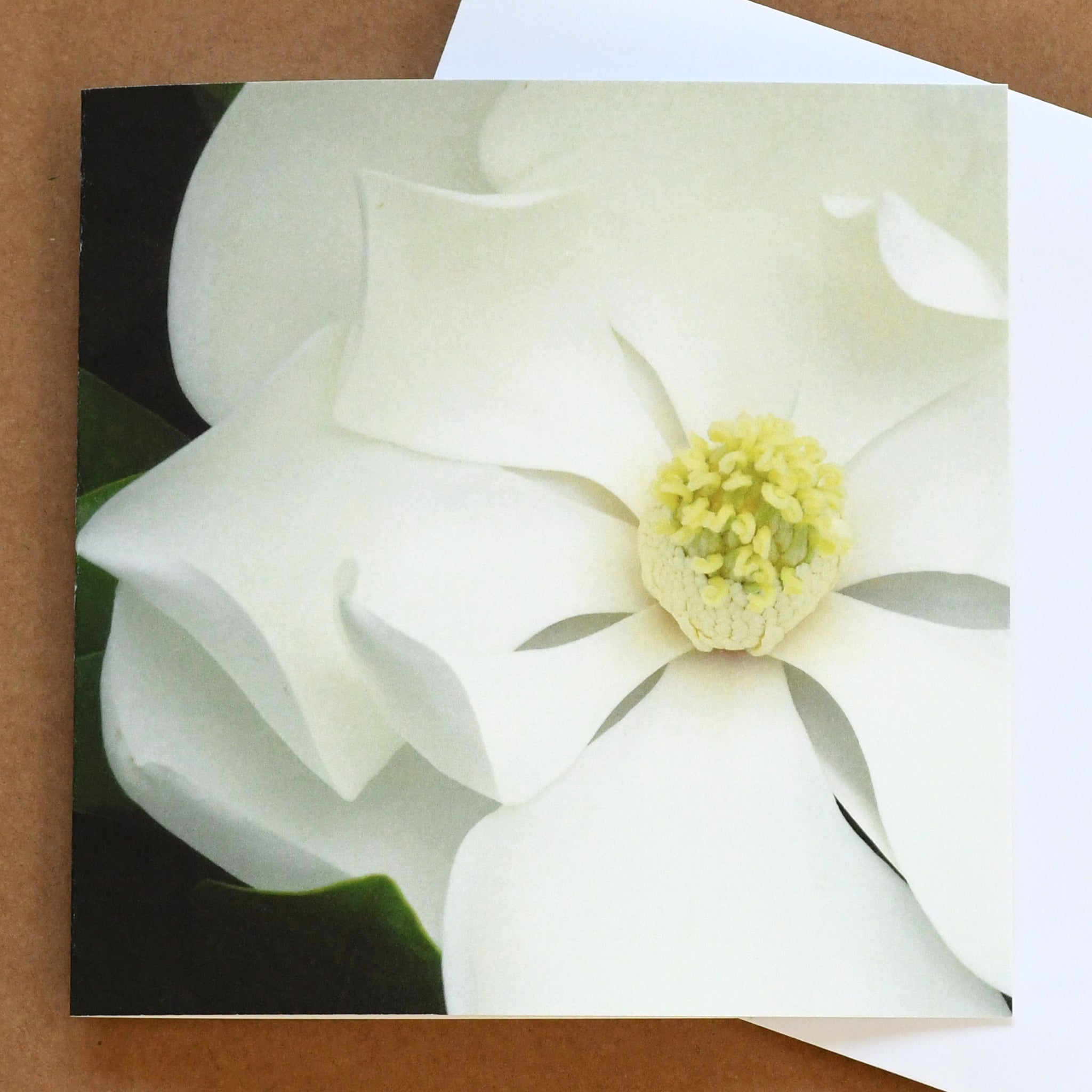 'Great white magnolia' card