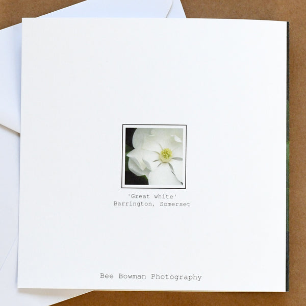 'Great white magnolia' card