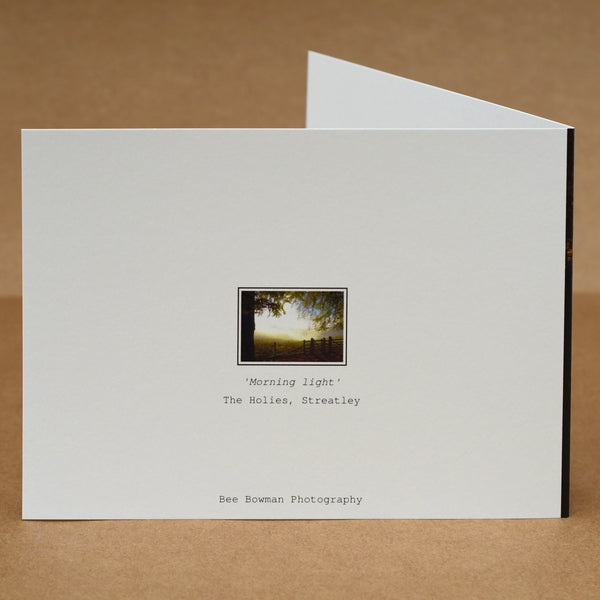 'Morning light in the woods' card