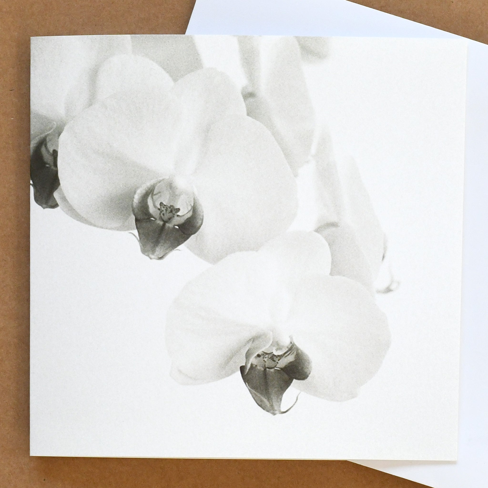 'Paper white orchid' card