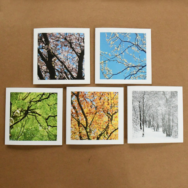 Seasonal trees card set