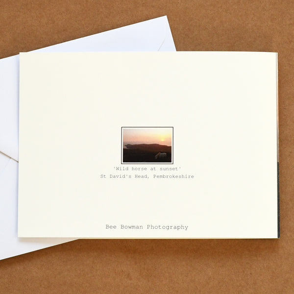 'Wild horse at sunset' card