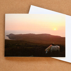 'Wild horse at sunset' card